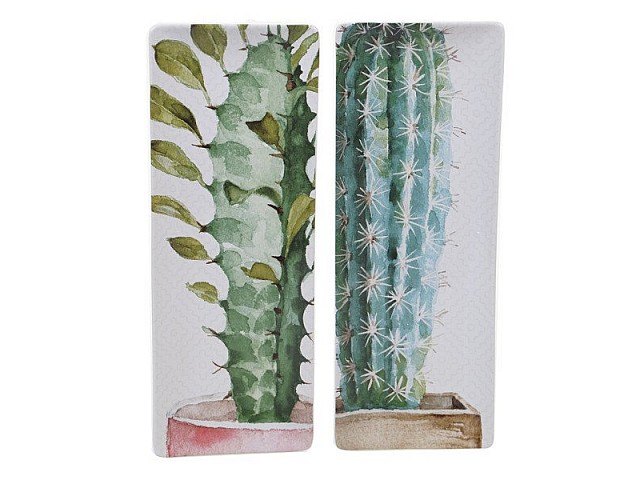 Блюдо прямоугольное Certified Intl "Кактусы" 40х15см