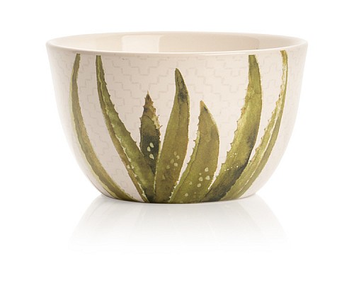 Салатник Certified Intl "Кактусы, Алоэ" 13 см