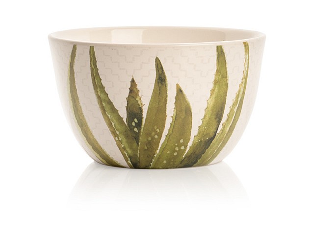 Салатник Certified Intl "Кактусы, Алоэ" 13 см