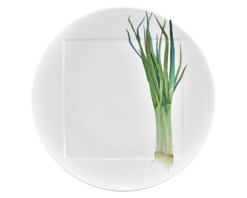 Тарелка обеденная Noritake Овощной букет Зеленый лук 27см