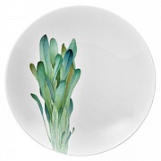 Тарелка для пасты Noritake Овощной букет Горчица 23 см