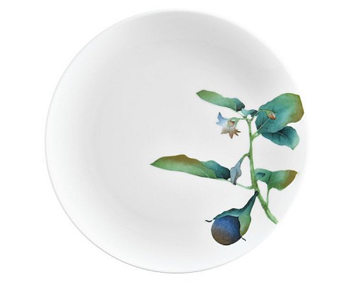 Тарелка закусочная Noritake Овощной букет Баклажан 24см