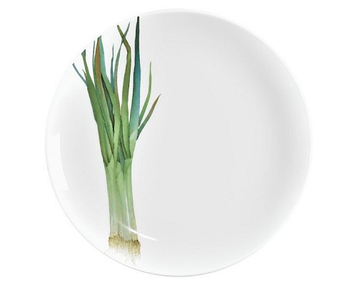Тарелка закусочная Noritake Овощной букет Зеленый лук 24м