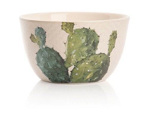 Салатник Certified Intl "Кактусы, Мамиллярия" 13 см