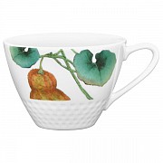 Чашка чайная Noritake Овощной букет Тыква 210 мл