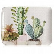 Блюдо прямоугольное Certified Intl "Кактусы" 40х30см