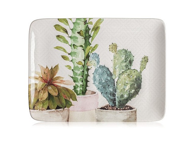 Блюдо прямоугольное Certified Intl "Кактусы" 40х30см