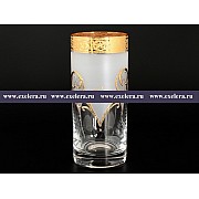 Набор стаканов 300 мл 6шт Bohemia Crystal Tulp золото