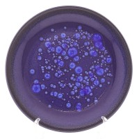 Тарелка Benedikt Neptun 19 см