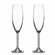 Набор бокалов для шампанского Crystalite Bohemia Colibri/Gastro 220 мл (2 шт)