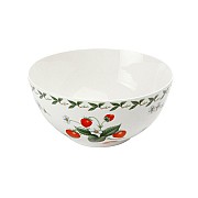 Салатник Земляника Maxwell & Williams 16 см