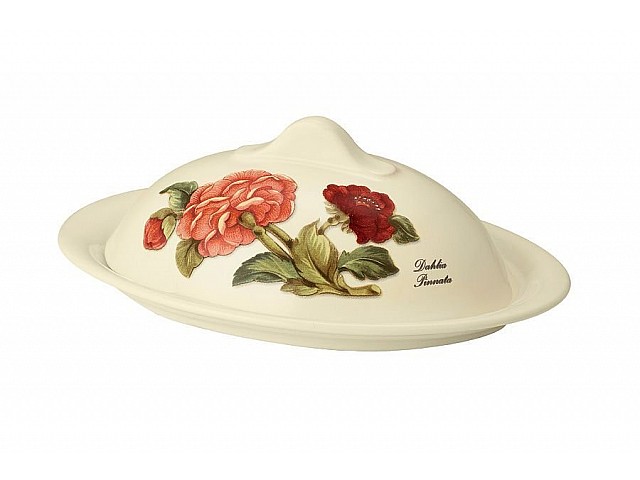 Маслёнка Далия Nuova Cer