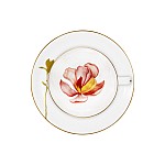 Чашка с блюдцем Magnolia Julia Vysotskaya Чашка с блюдцем Magnolia Julia Vysotskaya