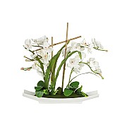 Декоративные цветы Орхидея белая Dream Garden на подставке