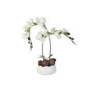 Декоративные цветы Dream Garden Орхидея белая