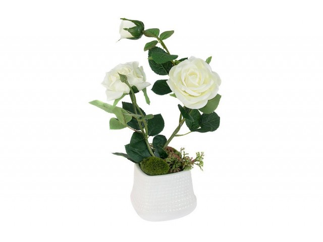 Декоративные цветы Dream Garden Розы белые в вазе