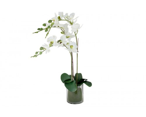 Декоративные цветы Dream Garden Орхидея белая в вазе 44 см