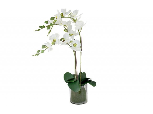 Декоративные цветы Dream Garden Орхидея белая в вазе 44 см