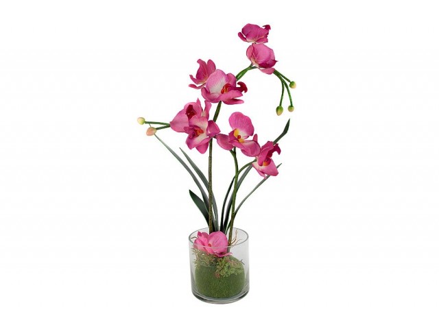 Декоративные цветы Dream Garden Орхидея бордо в вазе