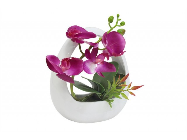 Декоративные цветы Dream Garden Орхидея тёмно-сиреневая в вазе