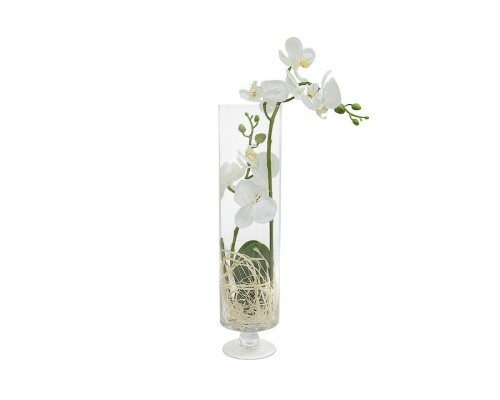 Декоративные цветы Dream Garden Орхидея белая в вазе 54 см