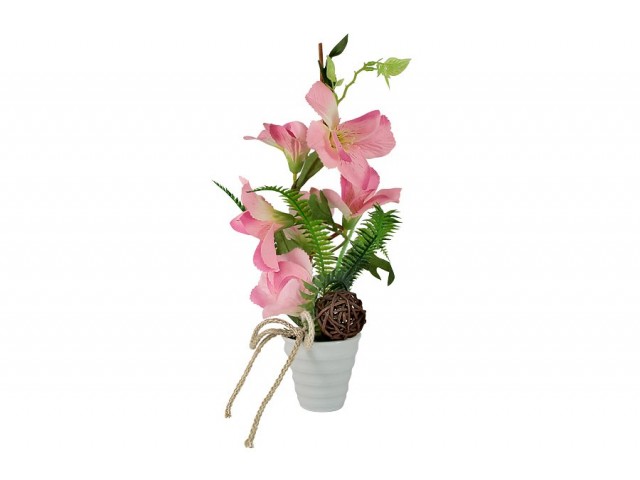 Декоративные цветы Dream Garden Вьюнок розовый в вазе