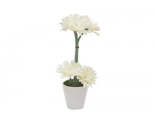 Декоративные цветы Dream Garden Герберы белые в вазе