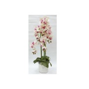 Декоративные цветы Dream Garden Орхидеи светло-розовые в вазе