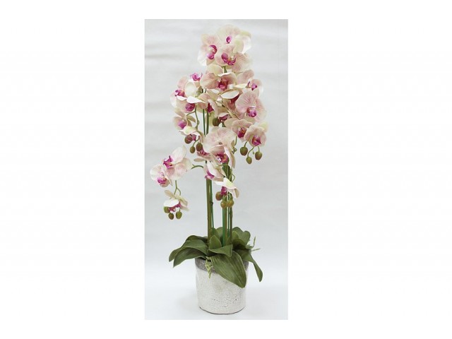 Декоративные цветы Dream Garden Орхидеи светло-розовые в вазе