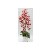 Декоративные цветы Dream Garden Орхидеи тёмно-розовые в вазе