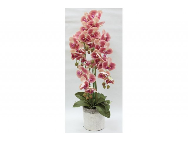 Декоративные цветы Dream Garden Орхидеи тёмно-розовые в вазе