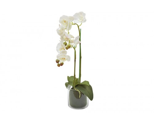 Декоративные цветы Dream Garden Орхидея белая в вазе 60 см