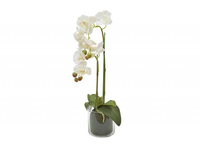 Декоративные цветы Dream Garden Орхидея белая в вазе 60 см