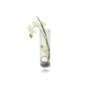 Декоративные цветы Dream Garden Орхидея белая в вазе 52 см