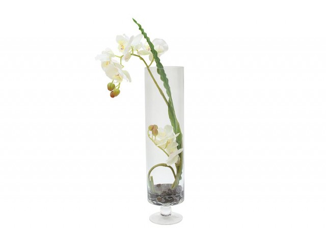 Декоративные цветы Dream Garden Орхидея белая в вазе 52 см