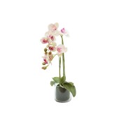 Декоративные цветы Dream Garden Орхидея светло-розовая в-вазе