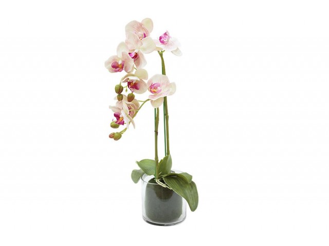 Декоративные цветы Dream Garden Орхидея светло-розовая в-вазе