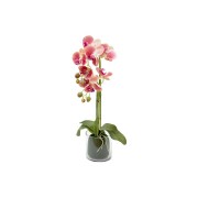 Декоративные цветы Dream Garden Орхидея тёмно-розовая в вазе
