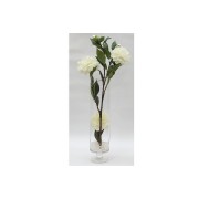 Декоративные цветы Dream Garden Пионы белые в вазе