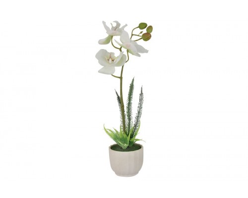 Декоративные цветы Dream Garden Орхидея белая в вазе 35 см