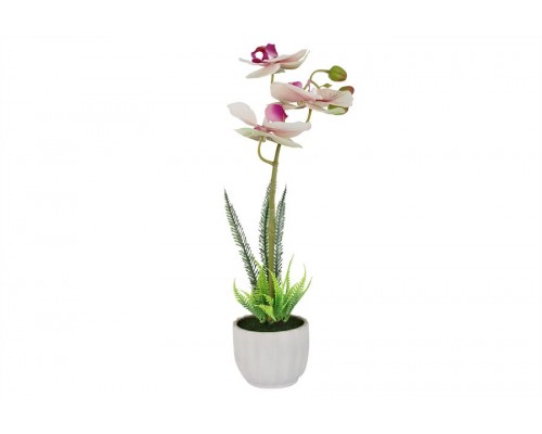 Декоративные цветы Dream Garden Орхидея бело-сиреневая в вазе