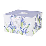 Чашка с блюдцем Ирисы Maxwell & Williams 0,48 л