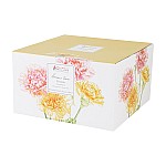 Чашка с блюдцем Гвоздики Maxwell & Williams 0,48 л