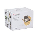 Кружка Кот в коробке 400 мл