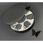 Кофейный набор Zorro Lenardi серый на 6 персон 12 предметов 130 мл