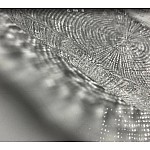 Блюдо 42 см Shick Lenardi