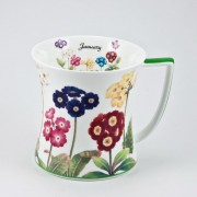 Кружка 450 мл Цветочная симфония-Январь Royal Bone China