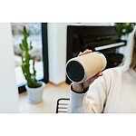 Термокружка Kambukka Olympus (300 мл), Латте