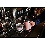 Термокружка Kambukka Olympus (300 мл), Розовый